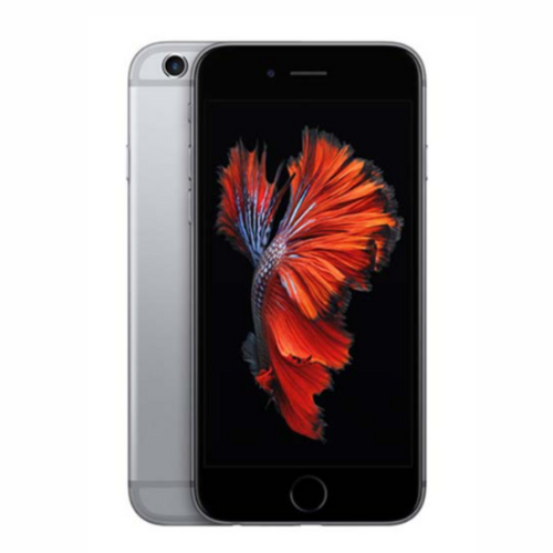 iPhone 6